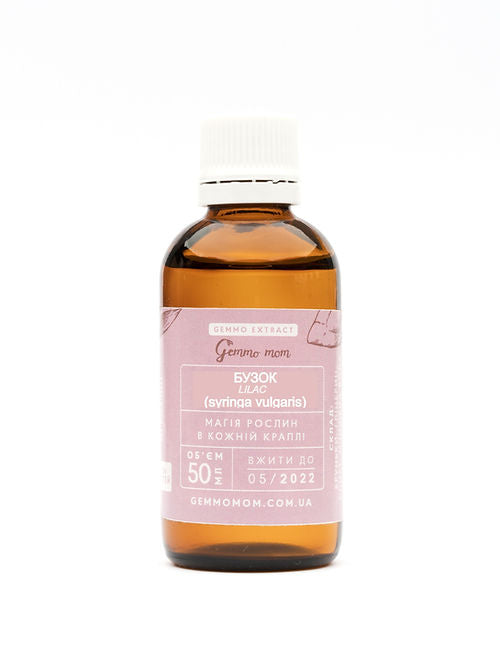 Lilac, Syringa vulgaris