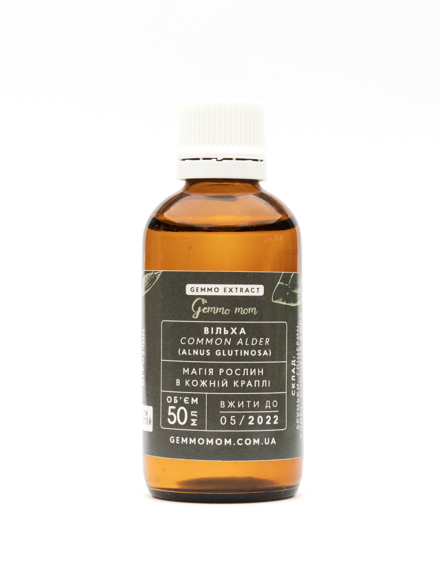 Common Alder, Alnus glutinosa