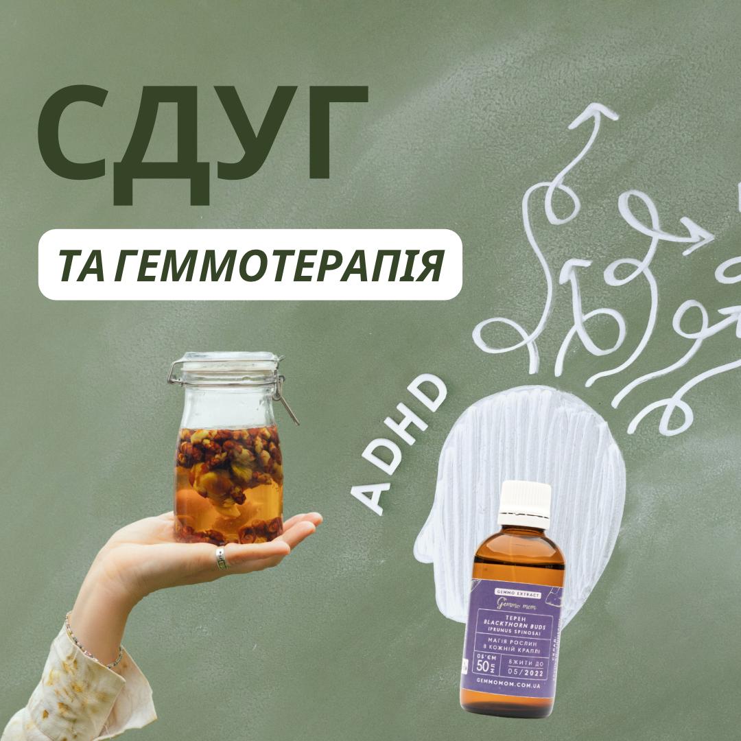 СДУГ і Геммотерапія