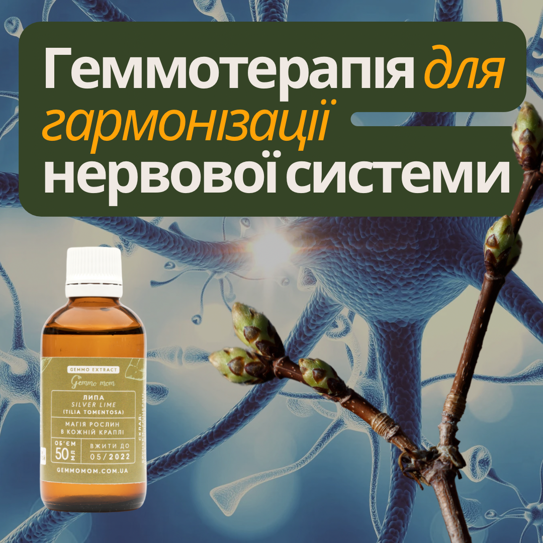 Геммотерапія для гармонізації нервової системи