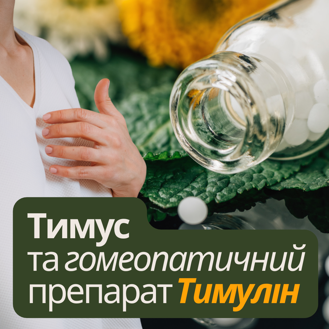 Тимус та гомеопатичний препарат Тимулін (Thymus gland)
