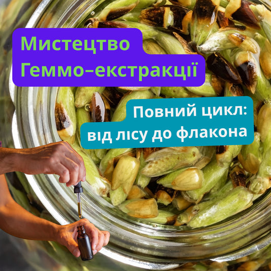 Майстер-клас: «Аптекар від Природи»