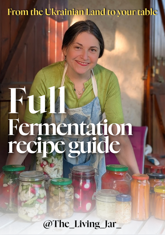 Fermentation Recipe Guide